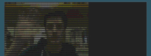 A video chat for terminal that uses ASCII characters