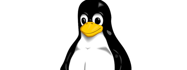 Most current Linux distros can be hacked just by opening a text file