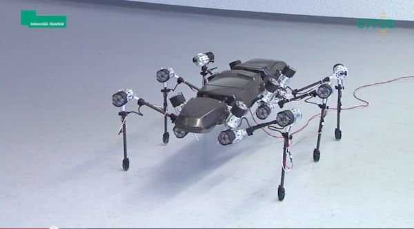 German university develops a six-legged robot that mimics the movements of a stick insect