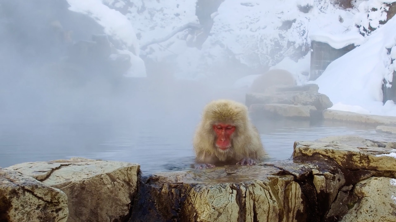 baños