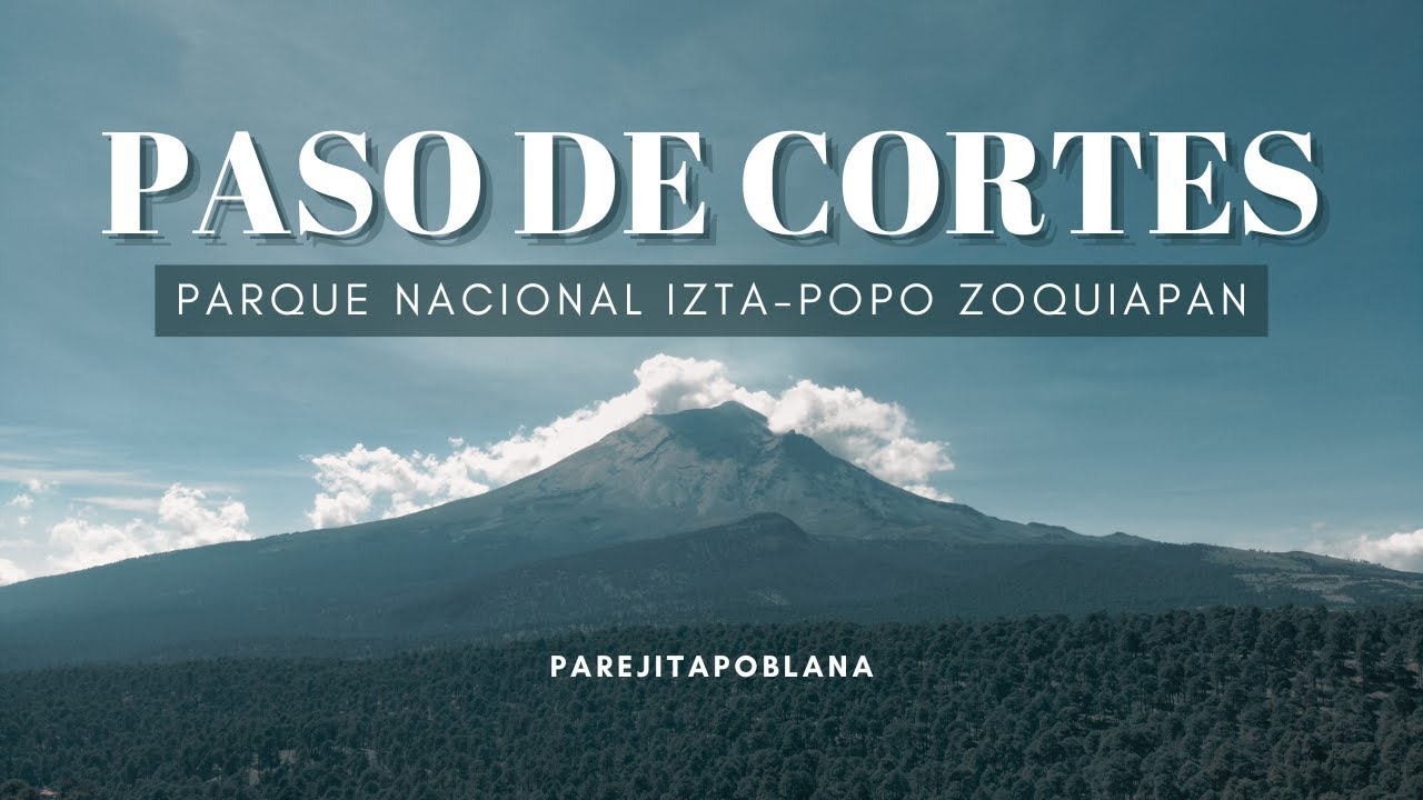 Paso de cortes: 7 consejos esenciales para mejorar tu estilo 1 paso de cortes