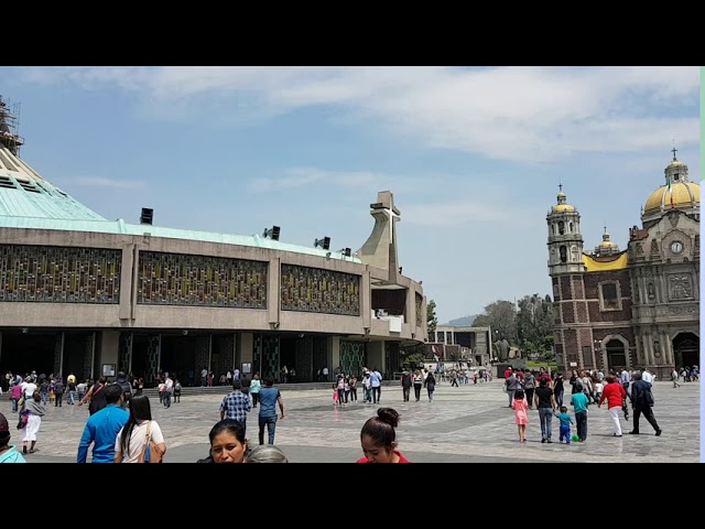 Plaza Mariana: 7 razones para visitarla en 2025 4 plaza mariana