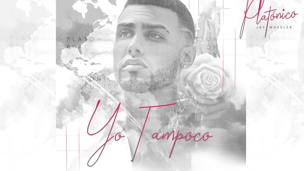 tampoco