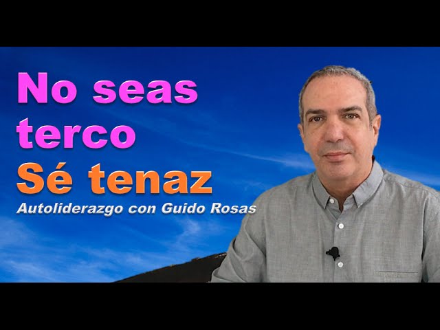 tenaz significado