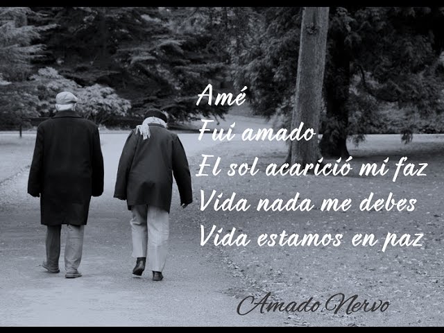 Vida nada te debo vida estamos en paz: 7 lecciones para sanar 1 vida nada te debo vida estamos en paz