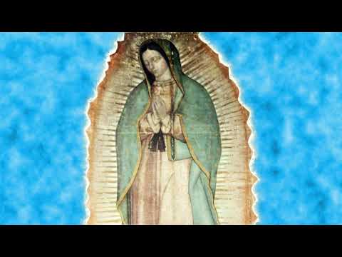 virgen de guadalupe imagen