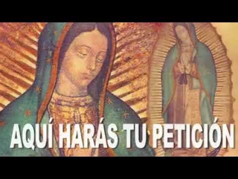 virgen de guadalupe oracion