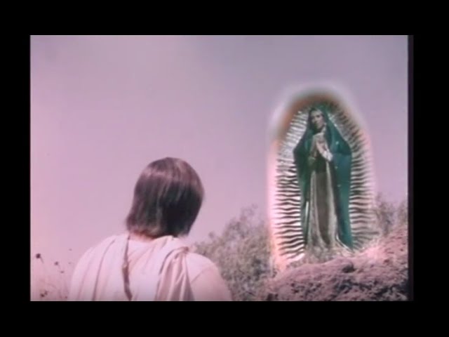 virgen de guadalupe y juan diego