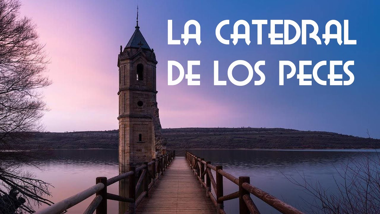 catedral de los peces