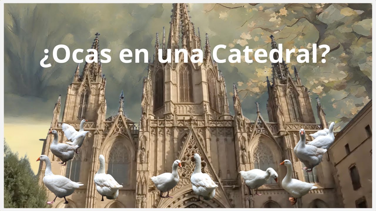 ocas catedral barcelona